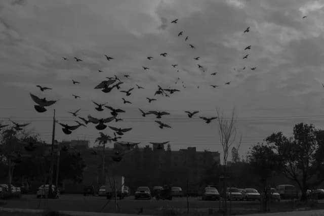 طومارِ طولانیِ انتظار