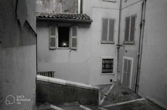 هزارپای خانه‌‌ی کاغذی