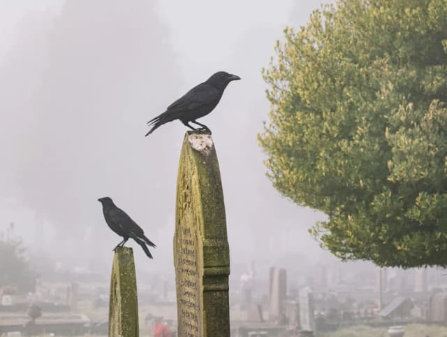 مرگ گریبان‌گیر تک‌تک ما خواهد شد. آیا راه چاره‌ای هست؟