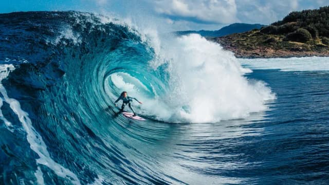 لذتِ متوسط‌بودن