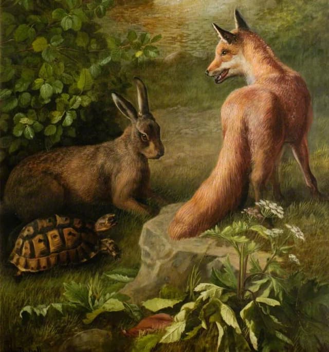 به تماشای جهان در همنشینی با آقای خرگوش!