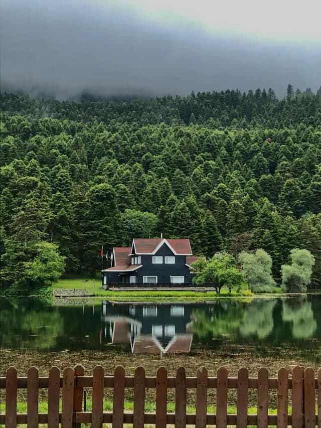 مگر آدم از چیزی که دوست دارد هم فرار میکند؟